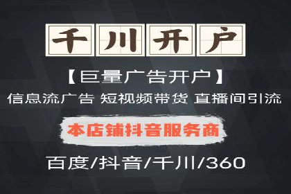 SEM运营公司经典案例点评